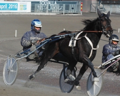 Makethemark på Solvalla på onsdag. Foto; A.Lindblom/Travkompaniet